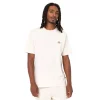 Camiseta para hombre Dickies Mapleton 3 colores