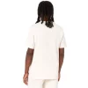 Camiseta para hombre Dickies Mapleton 3 colores - Imagen 2